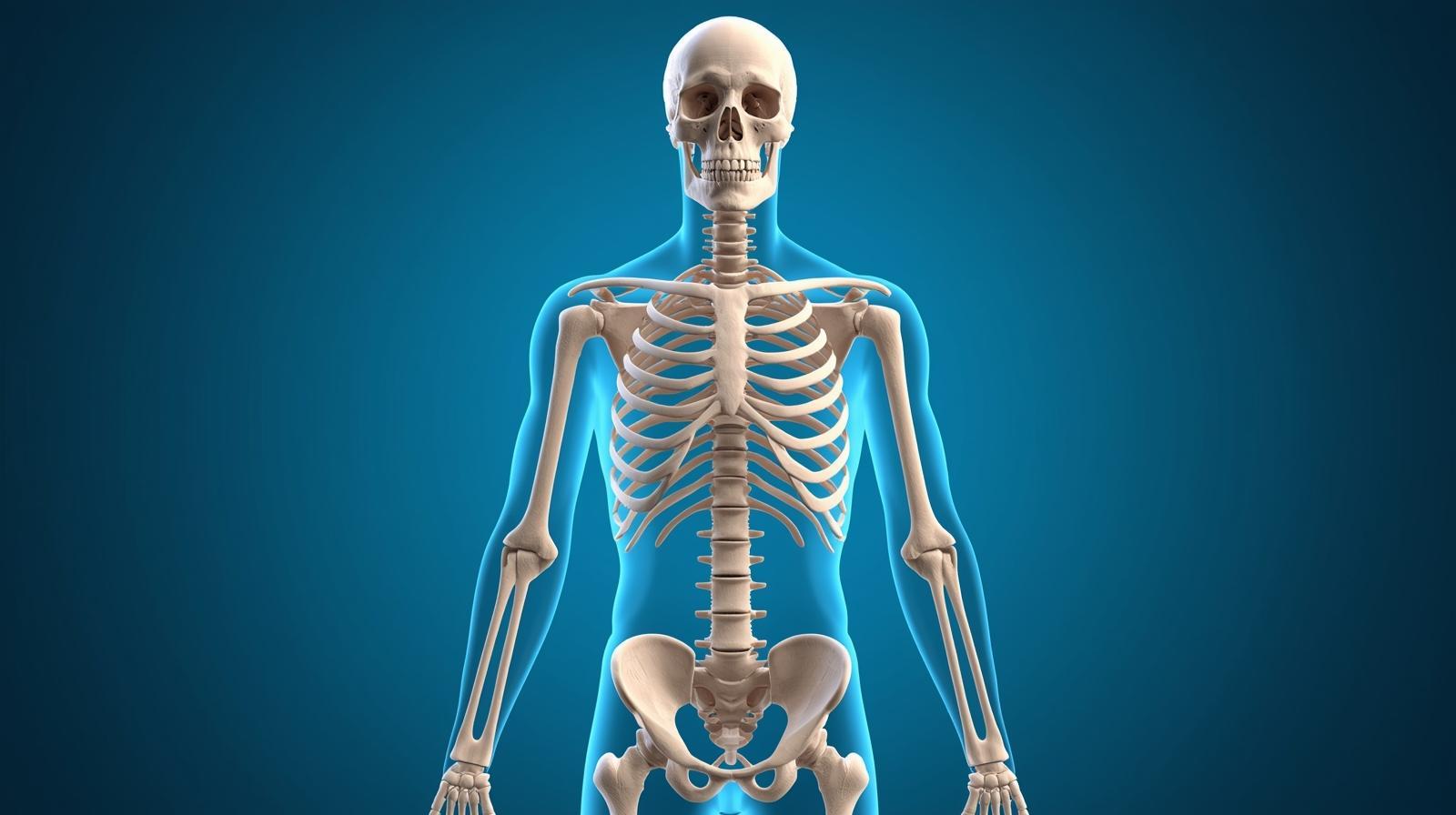NCLEX Practice — Skeletal System (Exam 7 of 10, 20 Q, 20 min, Pass 80%)